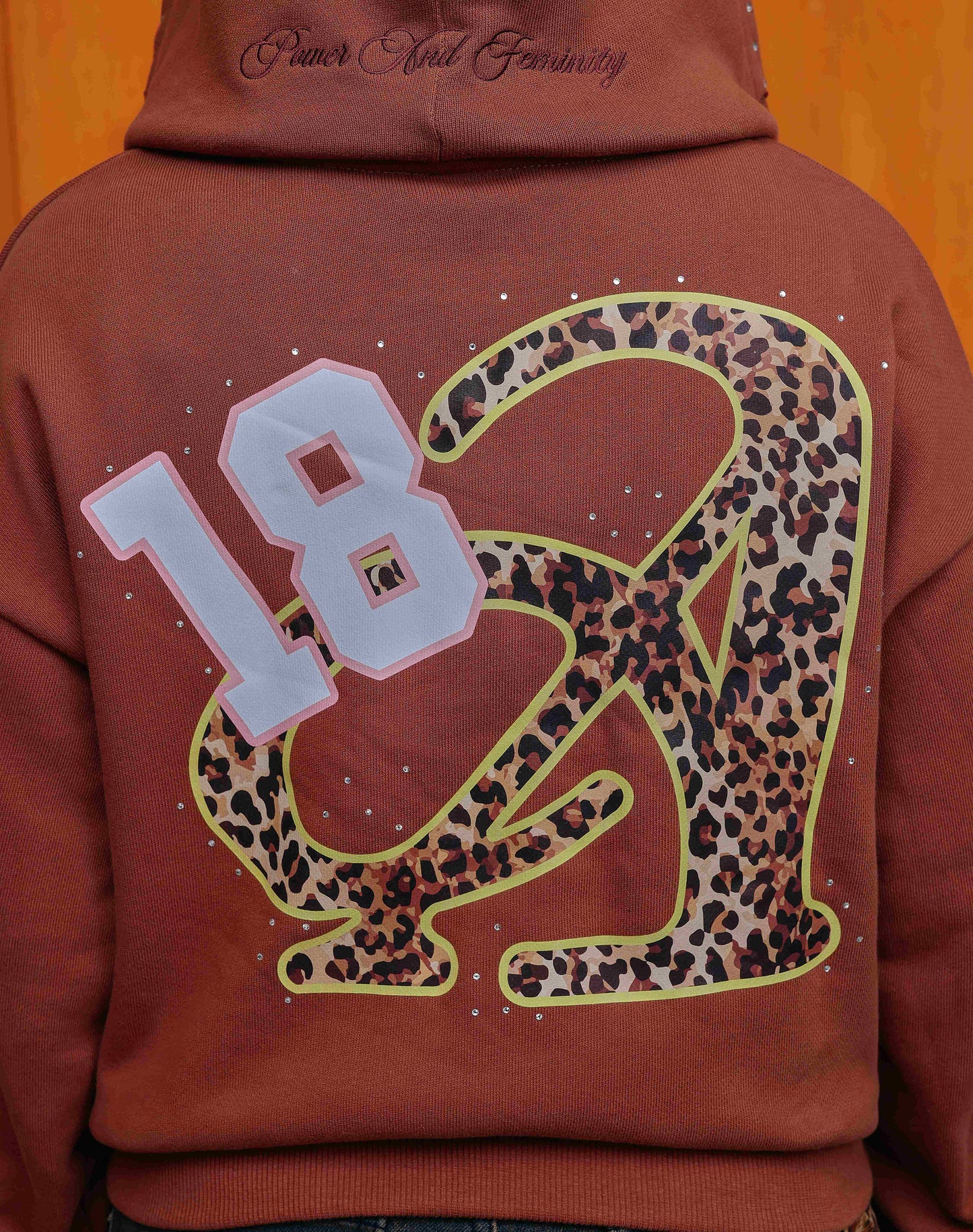 Asly Aura Hoodie in Brown