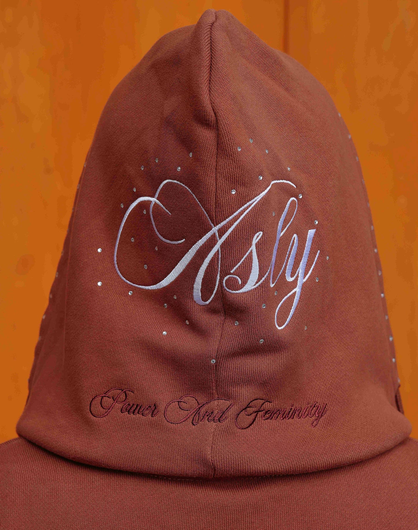 Asly Aura Hoodie in Brown