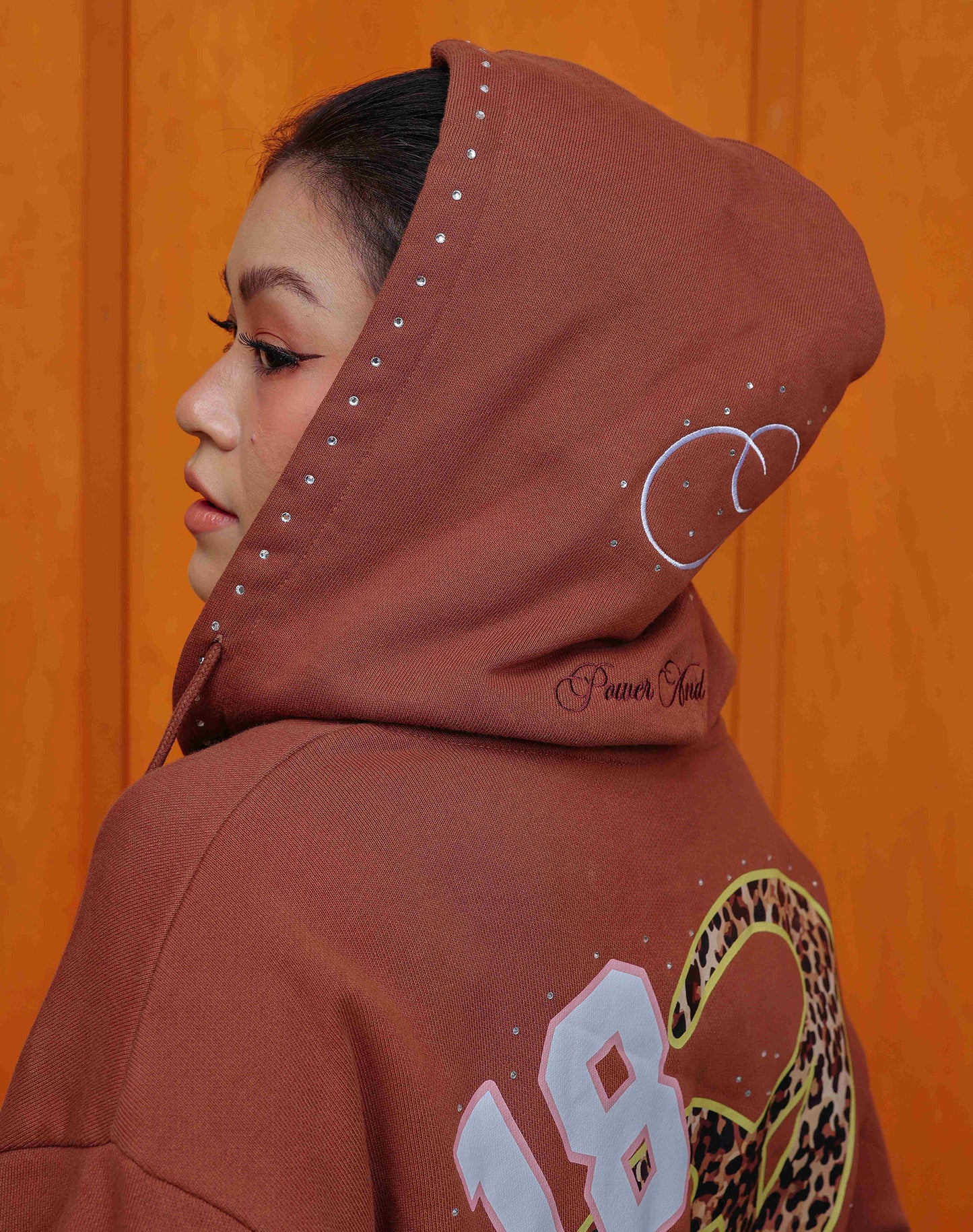 Asly Aura Hoodie in Brown