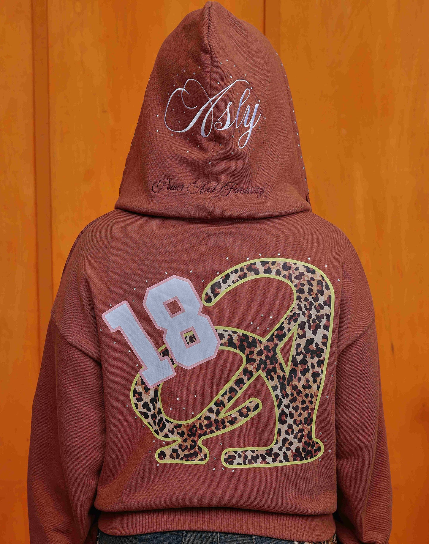 Asly Aura Hoodie in Brown